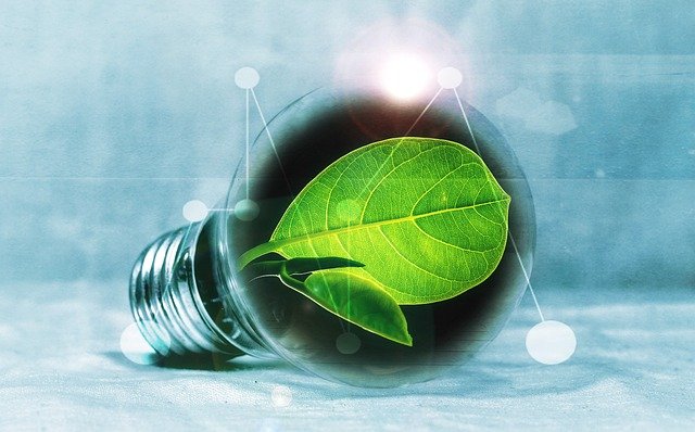lightbulb, nature, leaf, chlorophyll, green, leaf green, light, pear, flashes, energy, energy transition, energy generation, bulbs, experiment, innovation, environmentally friendly, electricity, environment, electric light, energy saving